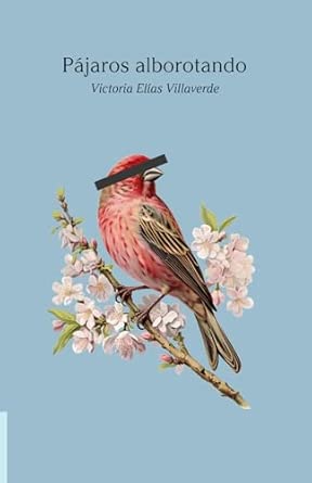 Portada Pájaros Alborotando